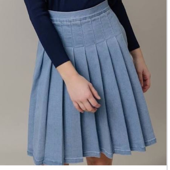 Apparalel Denim Pleated Skirt - Picture 1 of 5